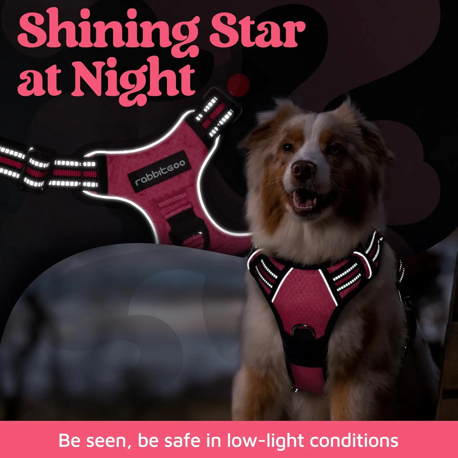 rabbitgoo Dog Harness Small Sized, No Pull Dog Vest with 3 Buckles, Adjustable Soft Padded Pet Harness with Easy Control Handle and Reflective Strips, Pink, S